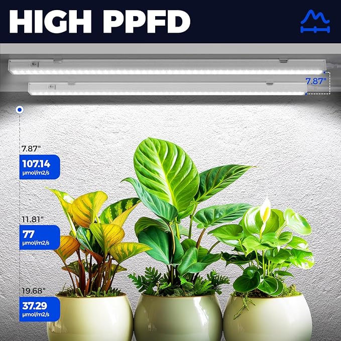 Barrina T5 Grow Lights for Indoor Plants Full Spectrum, 2FT 40W (4 X 10W) Indoor Plant Light with Separate Switch, Linkable Grow Lamp, Indoor Plant Lights for Growth with White Cover, 5000K, 4 Packs