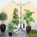3-Head Grow Lights for Indoor Plants with Stand 27W, LED Plant Grow Light for Tall Houseplants, Bonsai Tree, Full Spectrum Growing Lamp with 4,8,12 Hr Timer, 24"-64" Adjustable Height