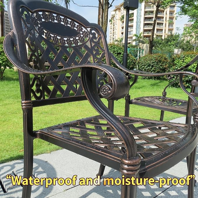 Outdoor Dining Chair Cast Aluminum Patio Chairs Set of 2 All-Weather Patio Dining Chair with Adjustable Feet for Backyard Garden (Concierge Chair)