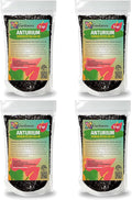 Organic Anthurium Soil Blend - Promote Strong Root Development and Beautiful Flowers - 20 QUARTS