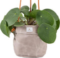 Large Waxed Canvas Handmade Hanging Planter for Indoor/Outdoor Plants, Hanging Basket Plant Holder Stone Gray