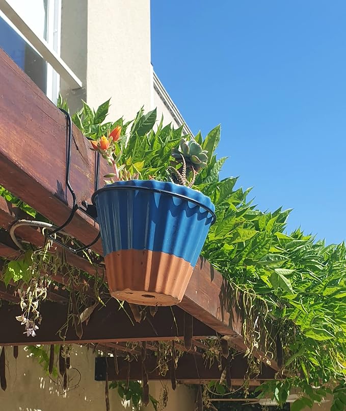 6 Pieces, 6 inches Iron Hanging Flower Pot. Metal Plant Wall Hanger, Vertical Garden. Planter Hook Ring, Rail Metal Fence. Indoor and Outdoor. Yard Garden. Wire Trellis. Collapsible Bracket. (Black)