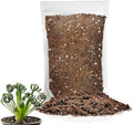 Premium Albuca Spiralis Potting Soil Mix - Perfect Balance of Nutrients, Drainage, and Aeration for Thriving Blooms - 4 Quart