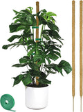 2 Pack Moss pole - 46 Inch Moss Pole Indoor - Monstera Plant Support - Plant Stakes for Indoor Plants - Plant Stiks support Tall - Moss Pole for Climbing Plants support - Monstera Pot - Moss Poles