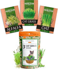 HOME GROWN 3 Cat Grass Seed Mix – Non-GMO Heirloom Oat, Alfalfa & Cat Grass Seeds | Indoor Pet Grass for Cats | High-Germination Greens for Hairball Control, Digestion, and Chewing Enrichment