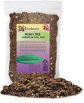 Money Tree Potting Soil, Soil Mix for Planting or Repotting Guiana Chestnut, Soil Blended to Properly Grow Money Tree Plants - (2 Quart Bag)