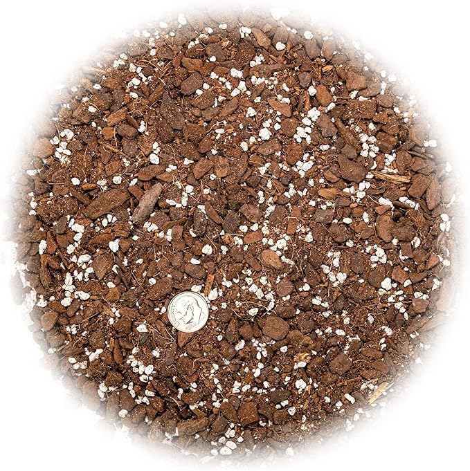 Monstera Dubia Soil Mix - Promotes Healthy Root Growth and Moisture Retention - 2 Quart