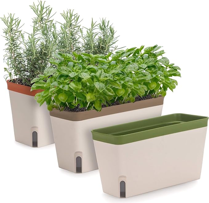 Amazing Creation Window Herb Planter Box, Vibrant Window Herb Garden, Self-Watering Rectangular Planter for Kitchen, Plants, and Succulents - Set of 3