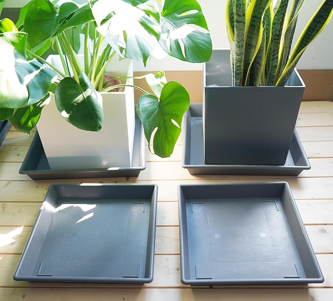 Square Plant Saucer 10 Inch 5 Pack, Plant Stand Flower Pot No Holes, Gray Plant Trays for Pots Heavy Duty Plastic Plant Saucers for Indoors Outdoors Plant Lover Gardening Gifts
