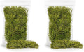 Premium Spanish Moss in Spring Green| Natural Preserved - 10 Quart - Great Ground Cover - Filler for Potted Plants - by GARDENERA (2 Bags of 5 Quart)