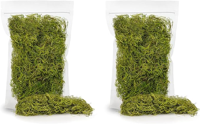 Premium Spanish Moss in Spring Green| Natural Preserved - 10 Quart - Great Ground Cover - Filler for Potted Plants - by GARDENERA (2 Bags of 5 Quart)
