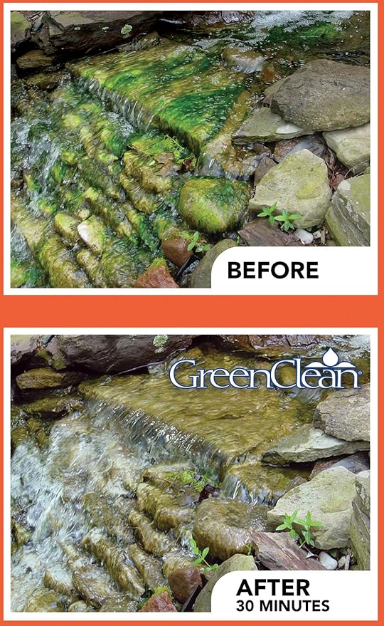 BioSafe Systems 3002-8 GreenClean Granular Algaecide String Algae Control for Koi Ponds, Fountains, Waterfalls, Water Features on Contact, 8 lbs, EPA Registered