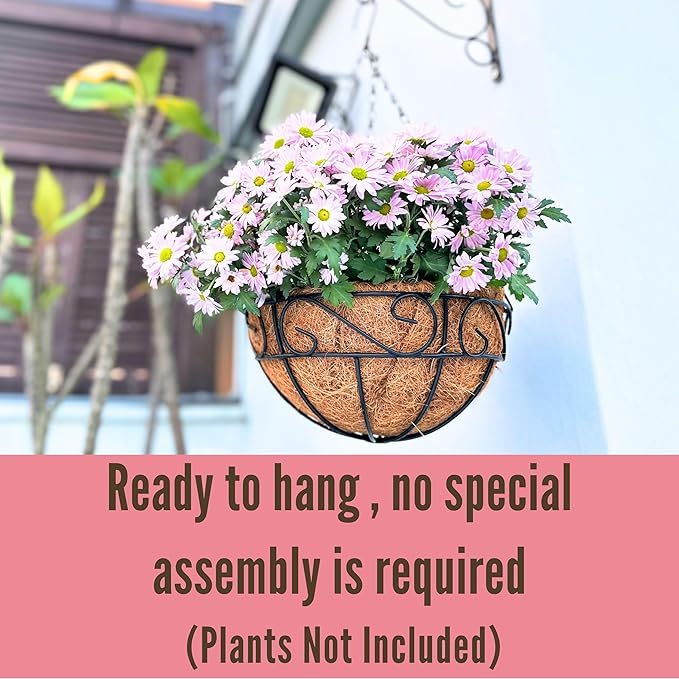 LaLaGreen Hanging Planter for Outdoor Plants (6 Pack, 10 Inch) Hanging Baskets with Coco Liner, Metal Wire Flower Basket Pots with Hook Hanger Balcony Porch Farmhouse Country Style Garden Decor
