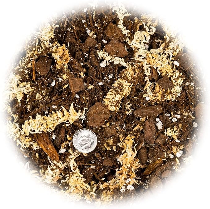 Premium Orchid Mix by GARDENERA | Fern + New Zealand Pine Bark + Sphagnum Moss + Perlite | Best for Growing and Repotting Orchids - 5 Quart Bag
