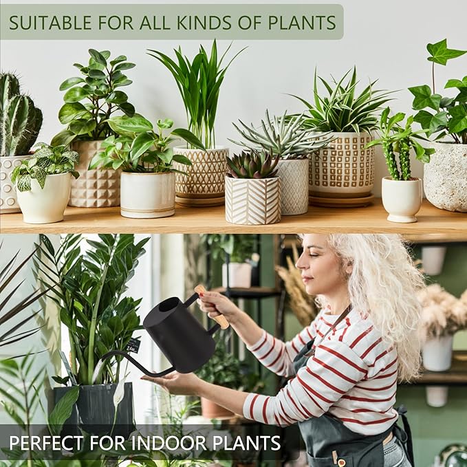 Plant Watering Can,35oz Metal Watering Can,Stainless Steel Watering Can Indoor Plants with Long Curved Spout,Small Watering Can for Indoor Plants,Bonsai Outdoor Garden Modern Decorative(Black)