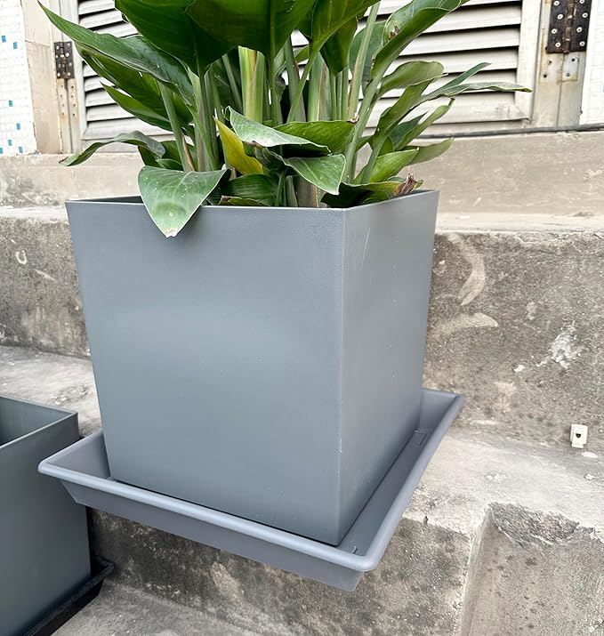 Square Plant Saucer 10 Inch 5 Pack, Plant Stand Flower Pot No Holes, Gray Plant Trays for Pots Heavy Duty Plastic Plant Saucers for Indoors Outdoors Plant Lover Gardening Gifts