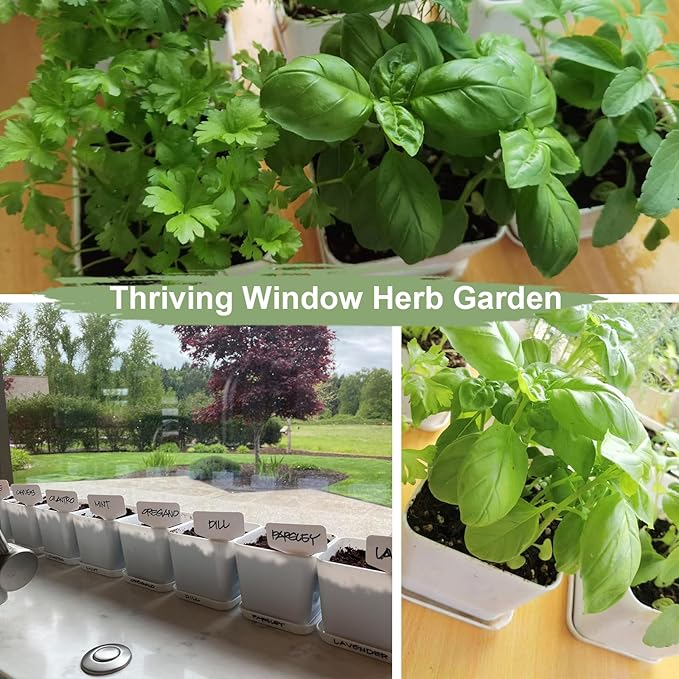 Herb Garden Kit Indoor Herb Garden Starter Kit - 10 Variety Herbs Kitchen Window Herb Garden Planter Indoor & Outdoor Growing Kit for Windowsill Countertop - Unique Gardening Gift for Women Men