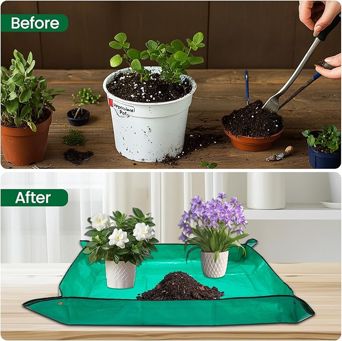 GROWNEER Bonsai Pots 3 Packs 11 Inch Bonsai Training Pot with Humidity Trays and Repotting Mat Tree Starter Kit Growing Planter for Garden Yard Office Indoor Outdoor