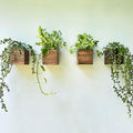 LaLaGreen Wood Planter Boxes (4 Pack, 4x4 Inch) Small Square Wooden Wall Mounted Flower Pot for Indoor Plants, Window Box Mount Hanging Herb Planters Outdoor Plant Holder Vertical Garden Home Decor