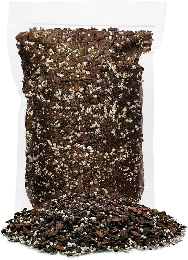 Papaya Plant Potting Mix - Unlock Rich Growth and Flavorful Harvests with Our High-Performance Formula - 20 Quart