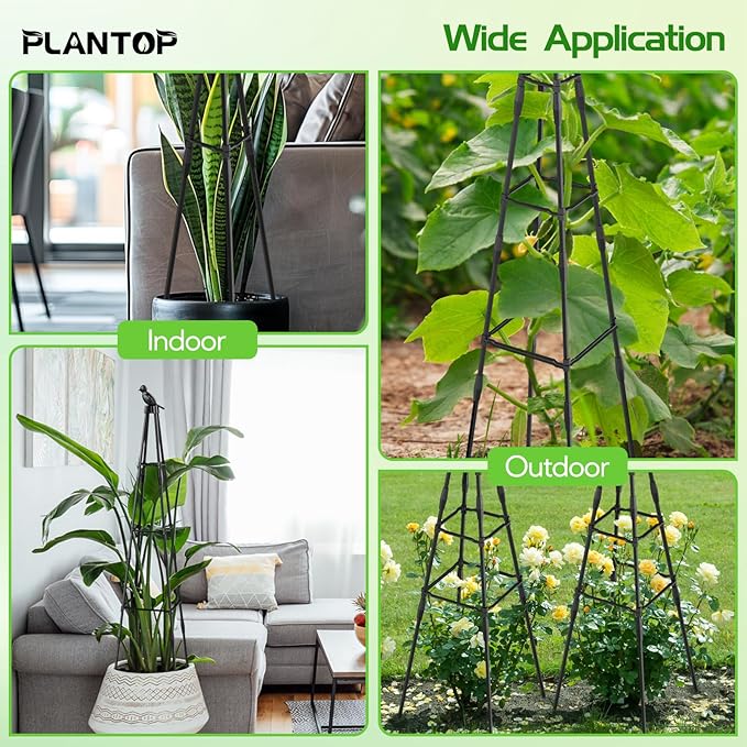2 Pack Garden Trellis for Climbing Plants Outdoor, 79"/6.6ft Tall Rustproof Tomato Trellis, PE Coated Metal Plant Trellis Indoor, Tower Trellis for Potted Plants Flowers Vines Vegetables