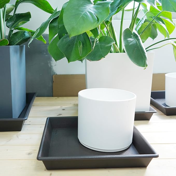 Square Plant Saucer 6 Inch 5 Pack6 8 12 14 16 18 20 Plant Trays for Pots Heavy Duty Plastic Plant Saucers for Indoors Outdoors, Flower Pot No Holes Plant Drip Trays