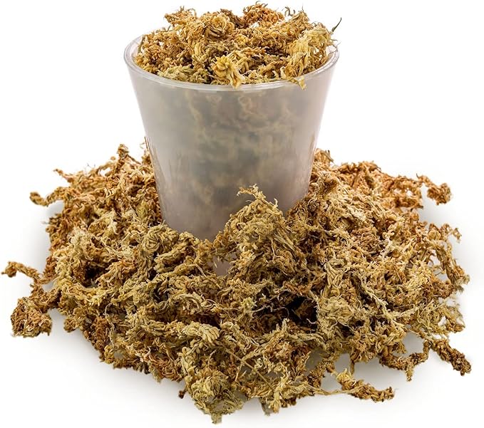 Premium New Zealand Sphagnum Moss by Gardenera - Organic Hand Mixed Long Fibered Sphagnum Moss Orchid - 2 Quart