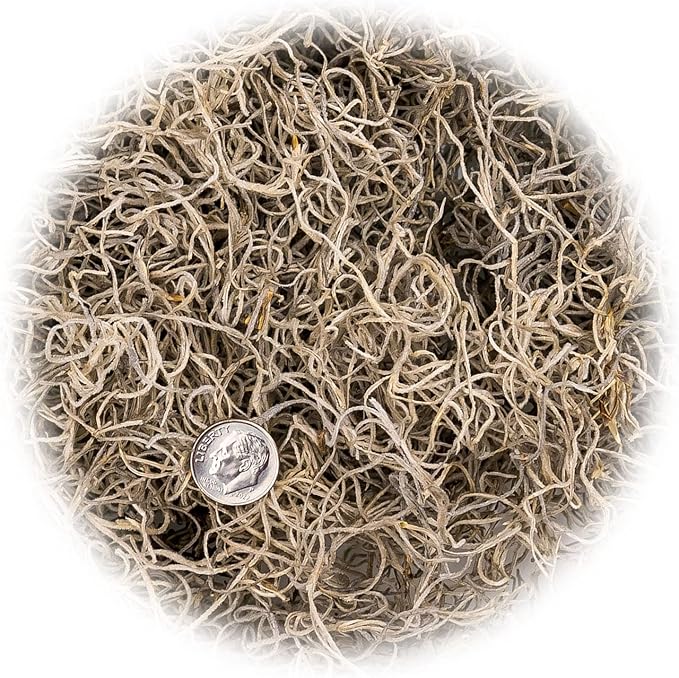 Premium Natural Spanish Moss | Natural Preserved - Great Ground Cover - Filler for Potted Plants - by GARDENERA - 5 Quart Bag