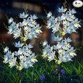 Neporal Solar Flowers Outdoor Waterproof IP65, 5-Head Snow Lotus with 20+ Flowers, Warm LED Light & 2 Lighting Modes, Decorative Solar Lights Outdoor Garden, Yard, Pathway, Flower Bed (4-Pack, Blue)