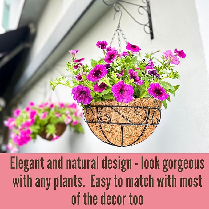 LaLaGreen Hanging Planter for Outdoor Plants (2 Pack, 10 Inch) Hanging Baskets with Coco Liner, Metal Wire Flower Basket Pots with Hook Hanger Balcony Porch Farmhouse Country Style Garden Decor