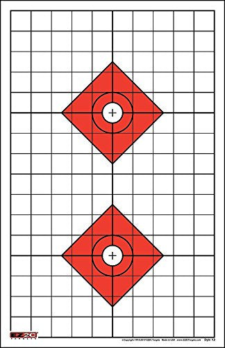 EZ2C Targets Style 13: Shooting Range Paper Target w 1" Grids 11"x17USA MADE