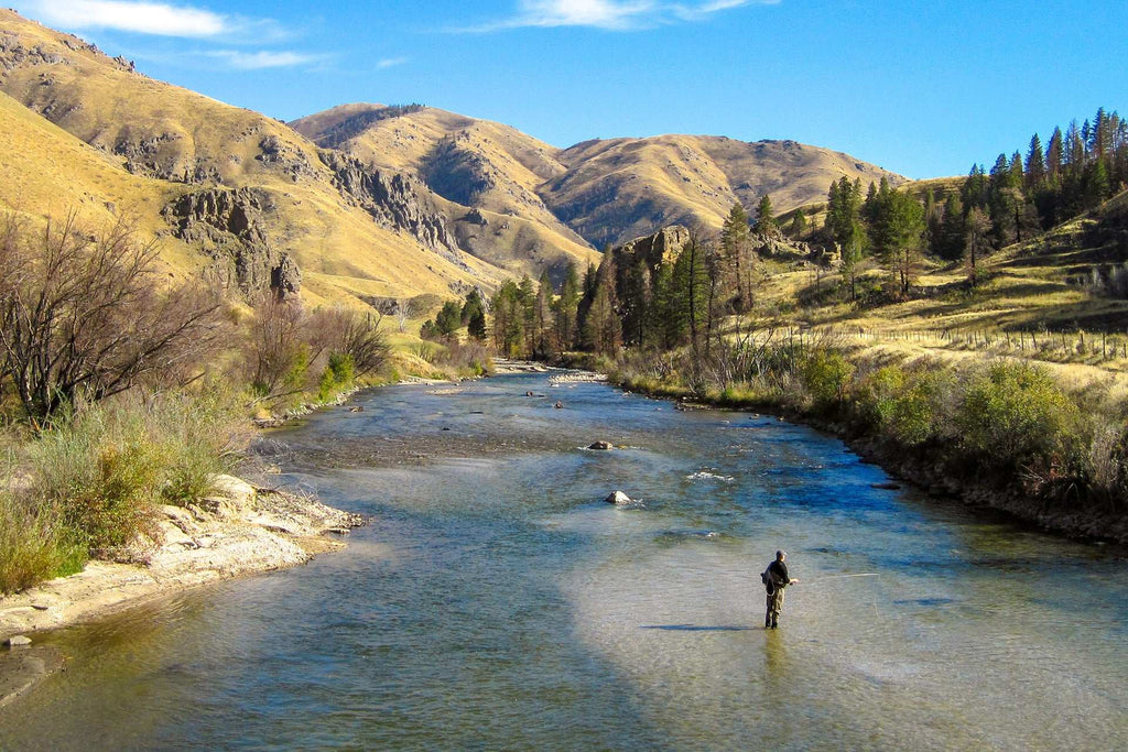 Barbless White Wulff Classic Hair Wing Dry Fly - 6 Flies Hook Size 14