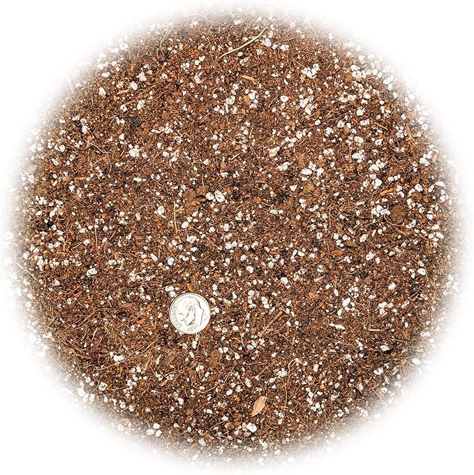 Professional Carnivorous Plant Soil - Ready to Use for Venus Flytraps, Sundews, Pitcher Plants, Butterworts | Peat Moss, Coco Coir, Perlite - 4 Quart Bag