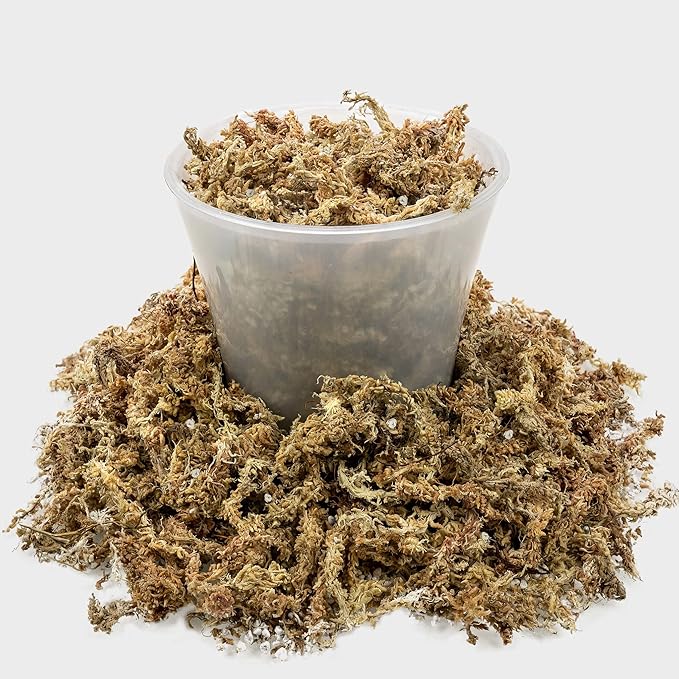 Sphagnum Moss Potting Mix for Carnivorous Plants, Moss and Perlite Blend for Potting Venus Fly Traps, Sarracenia, Pitcher Plants - 75% Sphagnum Moss + 25% Perlite - Made in USA - 2 Quart