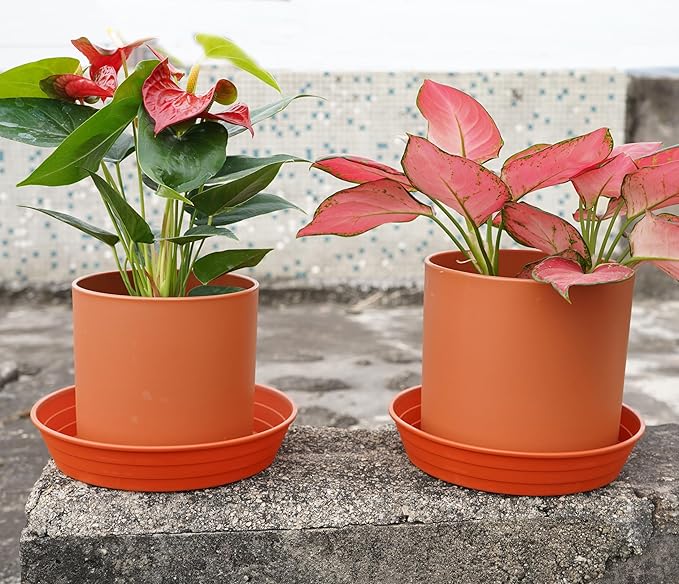 Plant Saucer 14 Inch 4 Pack 6 8 10 12 14 16 18 20 25, Plastic Plant Trays for Pots，Extra-Deep Plant Water Dray Tray, Bird Bath Bowl, Heavy Flower Plant Saucers Indoors and Outdoor No Holes