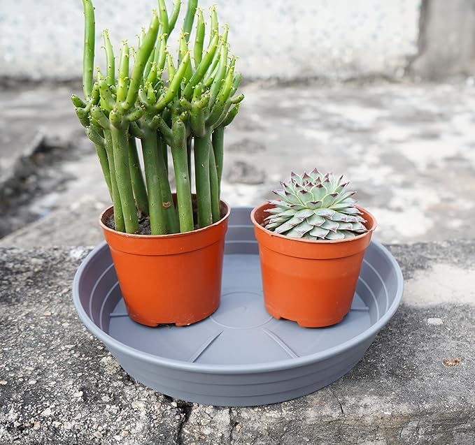 Plant Saucer 14 Inch 2 Pack 6 8 10 12 14 16 18 20 25, Plastic Plant Trays for Pots，Extra-Deep Plant Water Dray Tray, Bird Bath Bowl, Heavy Flower Plant Saucers Indoors and Outdoor No Holes