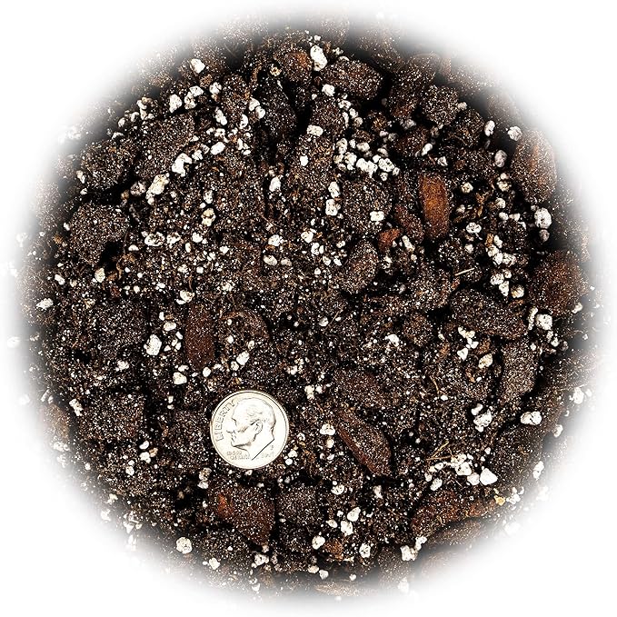 Professional Succulent Soil Premium All Purpose Blend | Pre-Mixed Ready to Use for Cactus and Succulents | Sphagnum Peat Moss, Perlite, New Zealand Pine Bark - Made in USA - 2 Quart