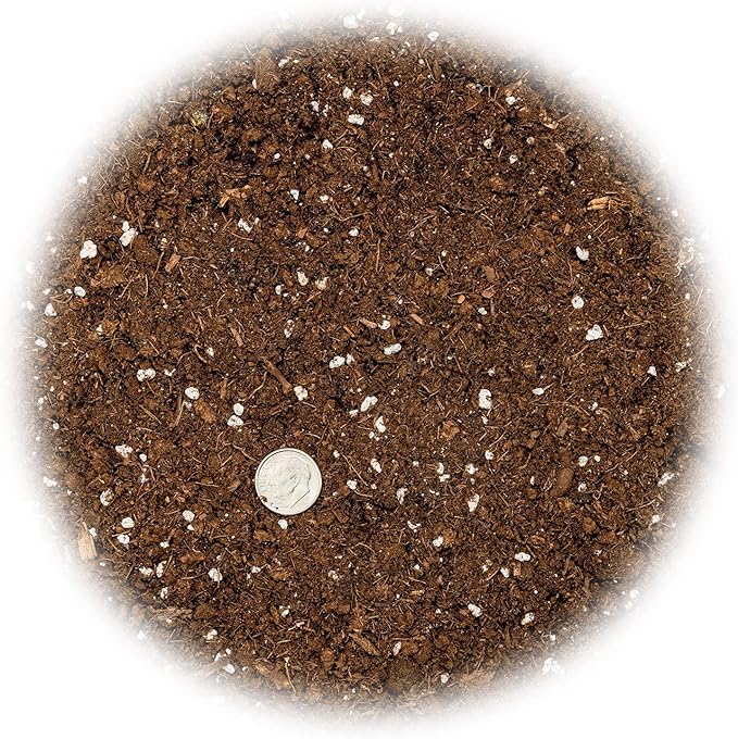 Money Tree Potting Soil - 20 Quart - Soil Mix for Planting or Repotting Guiana Chestnut, Soil Blended to Properly Grow Money Tree Plants (4 Bags of 5 Quart)