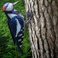 Shefio Woodpecker Gifts - Metal Woodpecker Yard Art - Handmade Outdoor Decor - Backyard & Garden Gifts