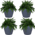 Sunnydaze 24-Inch Anjelica Large Plastic Pot for Plants - Outdoor Polyresin Round Planter with Drillable Drainage Holes - Slate - 4pk