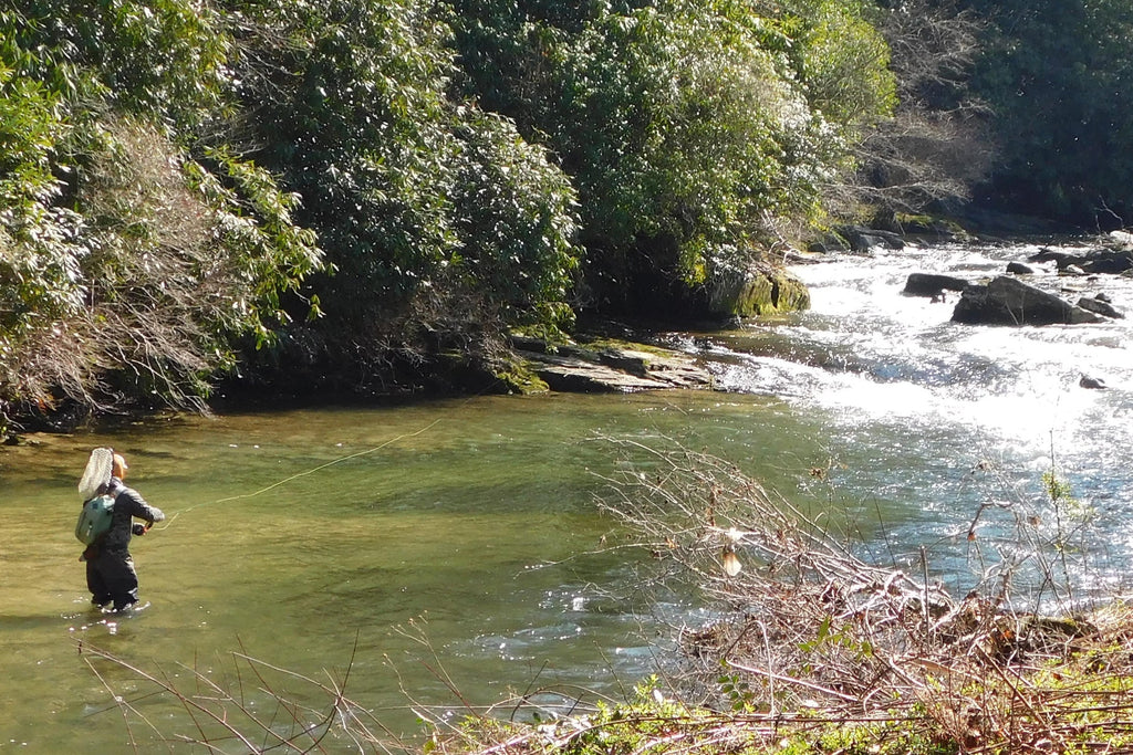 Bead Head LaFontaine Olive Deep Sparkle Caddis Pupa - 1 Dozen Flies Hook Size 16