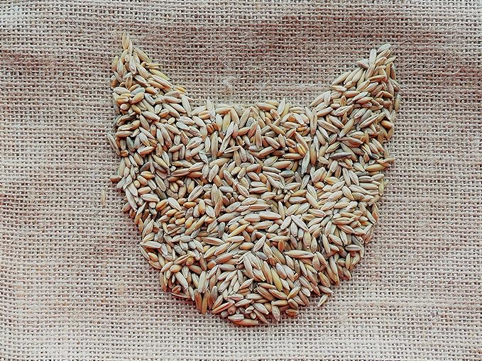 Simple Cat Grass Blend, 100% US Organic, 4 Popular Seeds: Wheat, Barley, Oats, and Rye Mix Combo, Show Your Love with a Healthy Pet Snack Treat (4 Ounce (~3200 Seeds))