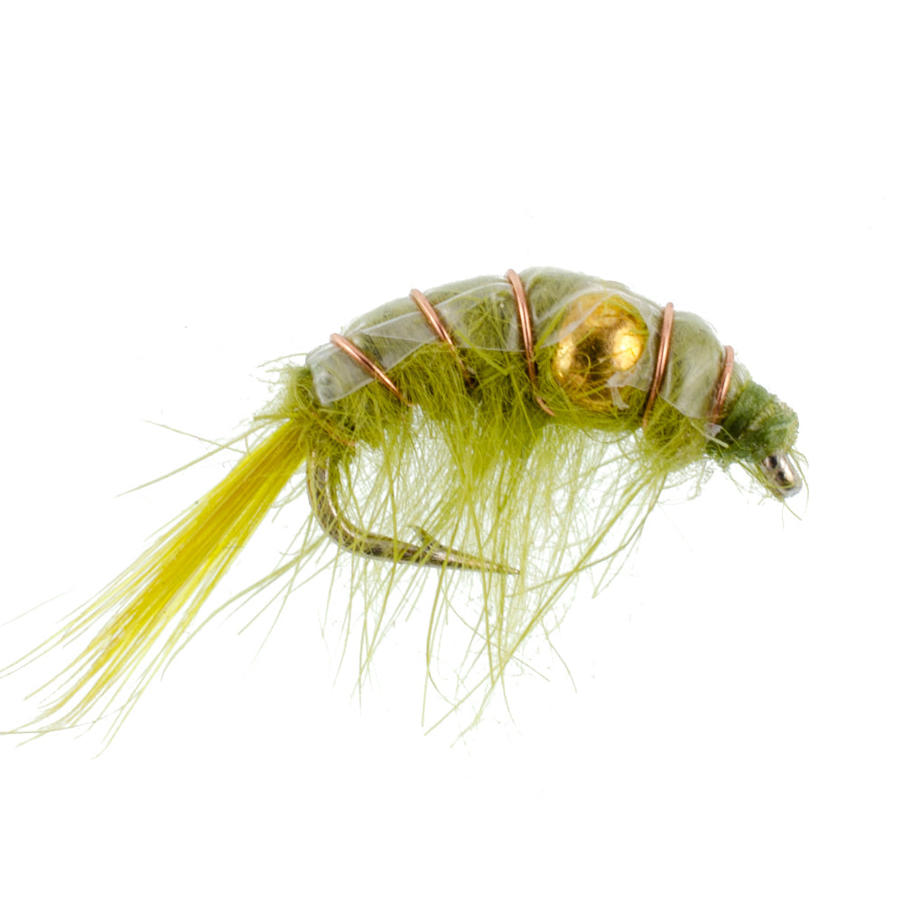 Olive Beaded Shrimp Scud Pattern - 1 Dozen Size 12 - Tailwater Lake Fly Fishing Nymph