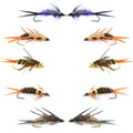 Basics Collection - Double Bead Head Nymph Assortment - 10 Wet Flies - 5 Patterns - Hook Size 14
