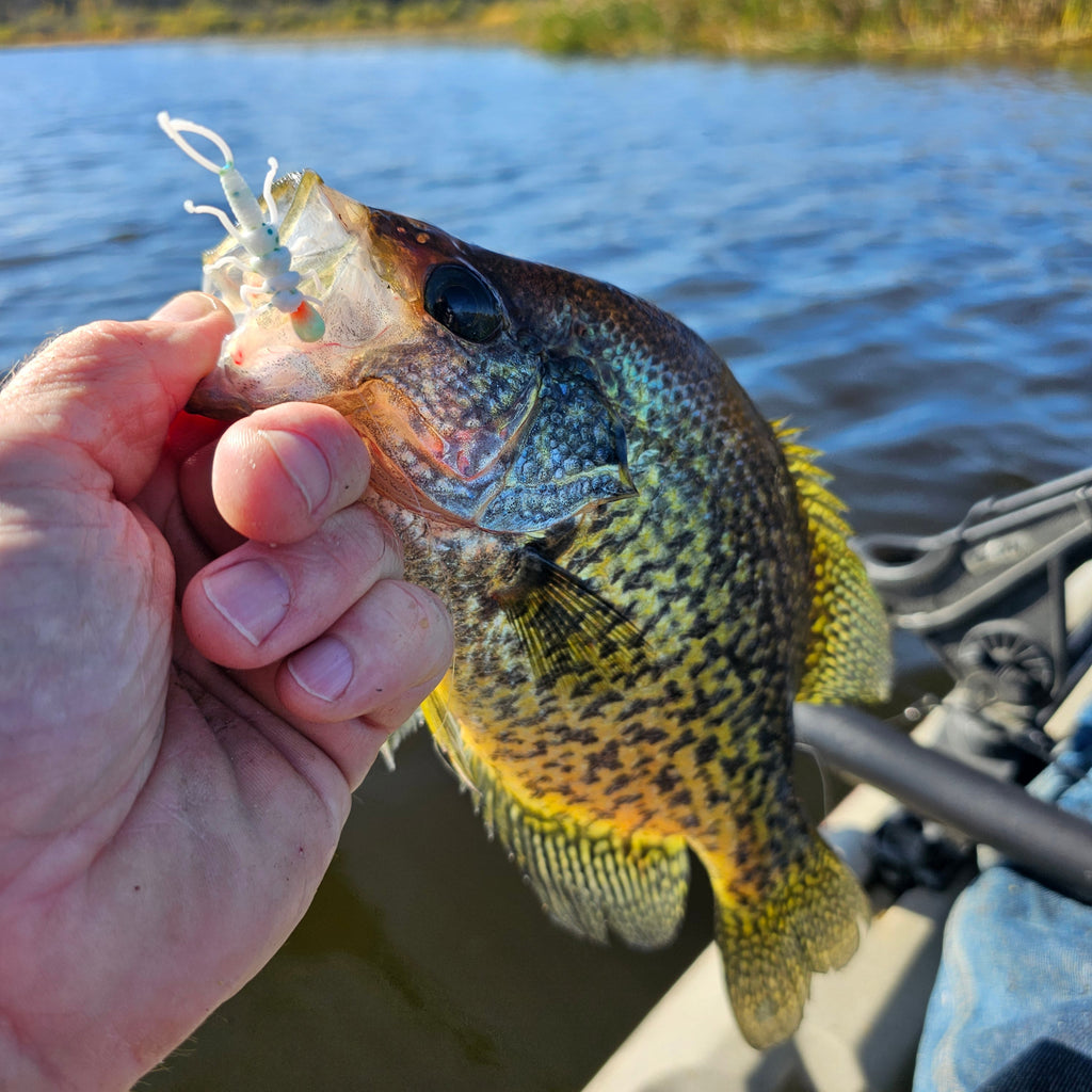 Custom 1.375" Soft Stonefly Nymphs
