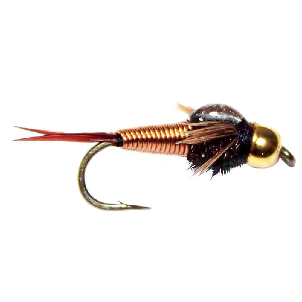Trout Flies Assortment - 12 Flies for Trout Fly Fishing with Fly Box - Essential Dry and Wet Fly Selection