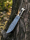 Custom Handmade 15-Inch Damascus Steel Bowie Knife with Stag Handle and Brass Guard
