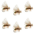 Olive Elk Hair Caddis Classic Trout Dry Fly - Set of 6 Flies Size 14