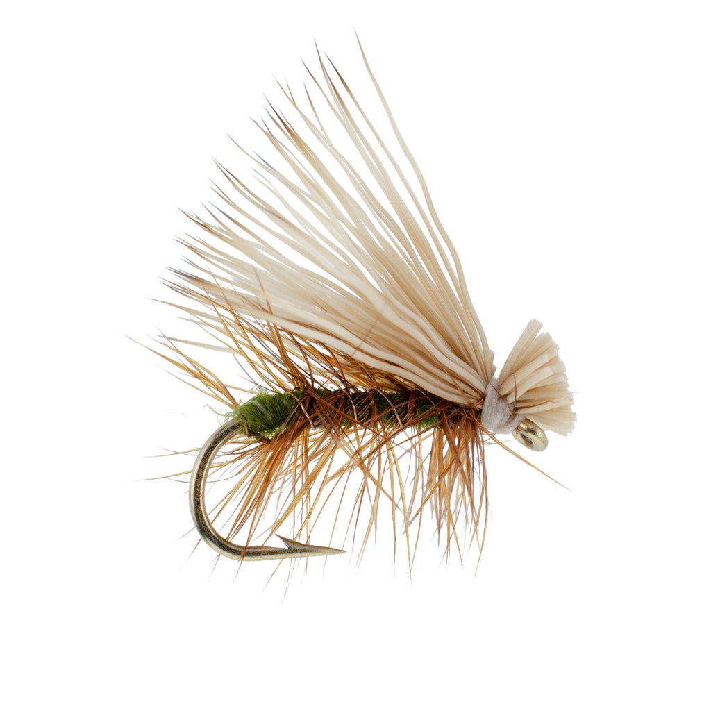Olive Elk Hair Caddis Classic Trout Dry Fly - Set of 6 Flies Size 14