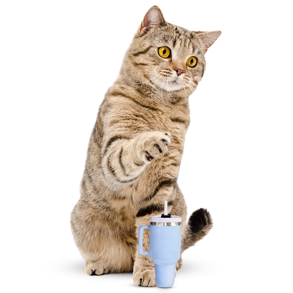 Kitty Cup Cat Tumbler Toy with Catnip & Crinkle Paper- Ideal Cat Birthday Gift